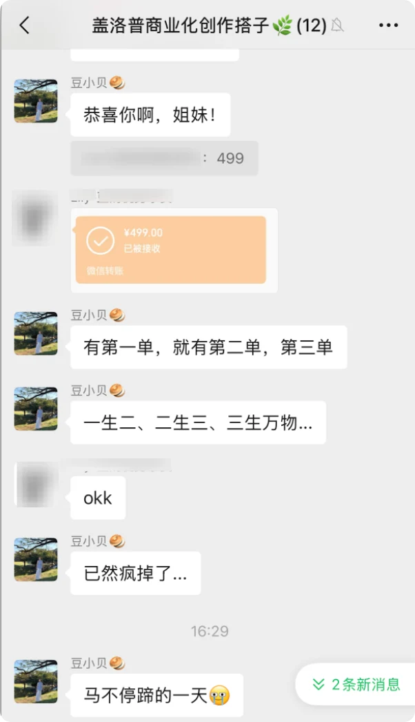 第二期学员完成咨询后收到 499 元咨询费，豆奶在群里表示祝贺的记录